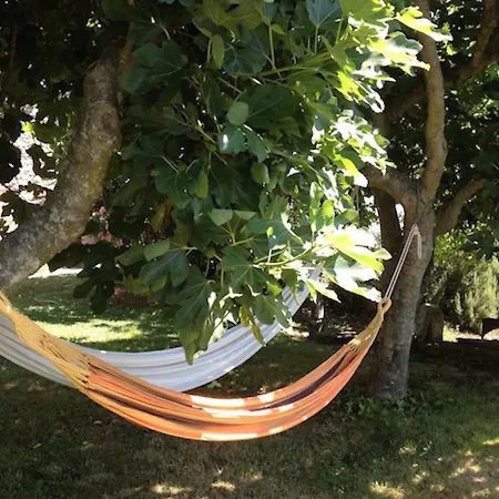 Podere Porcino Apartment *