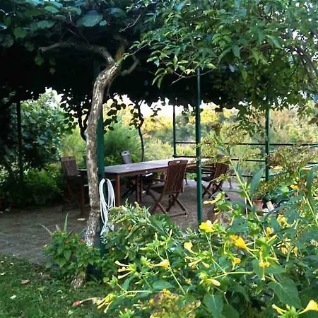 Podere Porcino
